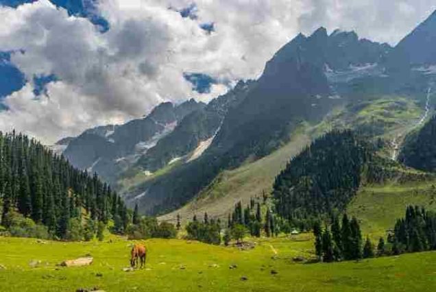 All Himachal & VaishnoDevi
